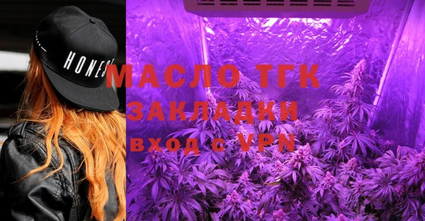 индика Богданович