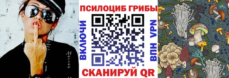 Псилоцибиновые грибы ЛСД Новокузнецк