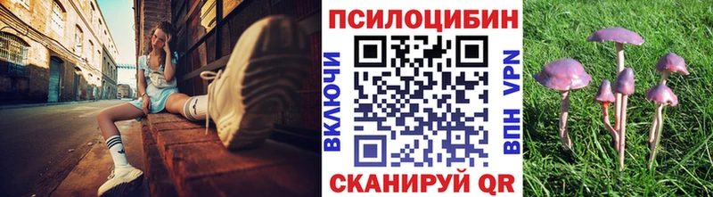 хочу hydra ссылка Псилоцибиновые грибы Cubensis Новокузнецк